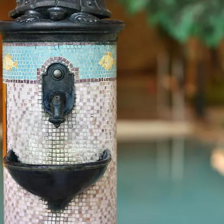 Ξενοδοχείο Carbona Thermal