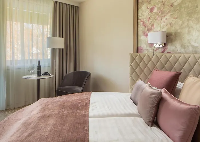 ホテル Carbona Thermal ヘーヴィーズ