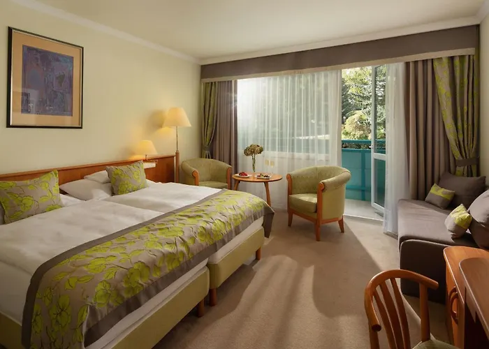 ホテル Carbona Thermal ヘーヴィーズ