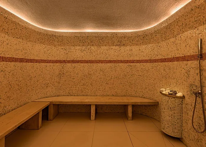 Carbona Thermal 4*