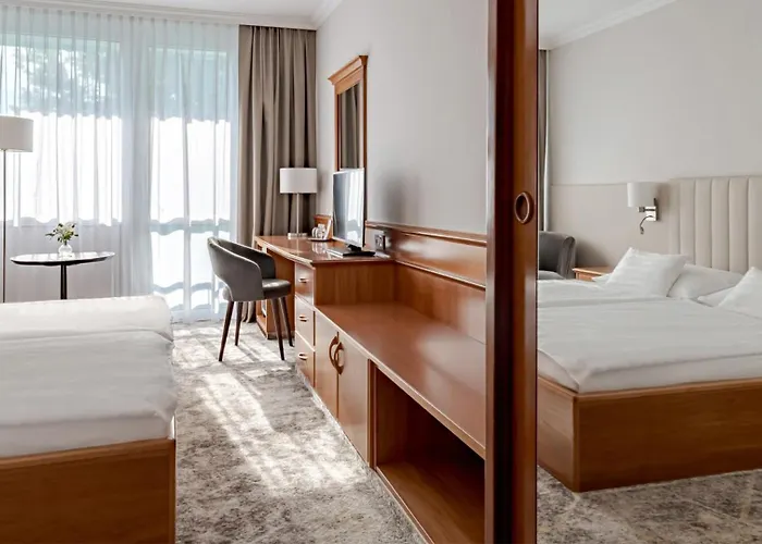 ホテル Carbona Thermal ヘーヴィーズ